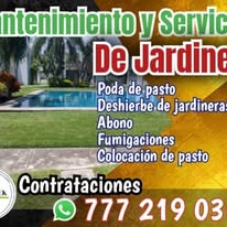 Mantenimiento de jardines